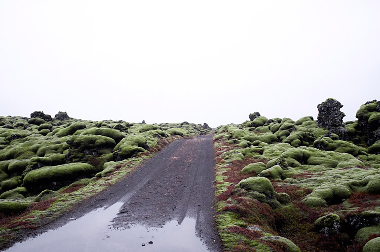 iceland_on_the_road_DSF1259