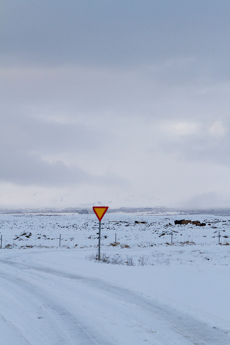 iceland_on_the_road_MG_3420