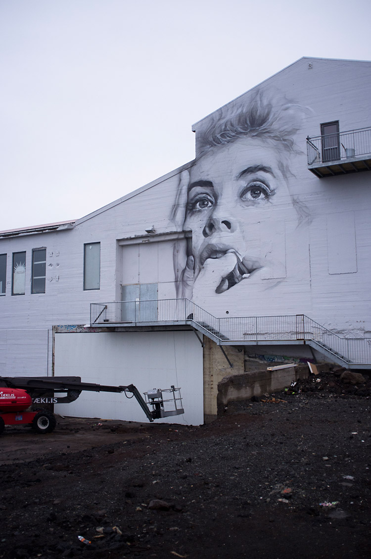 streetart_reykjavik_DSF1294