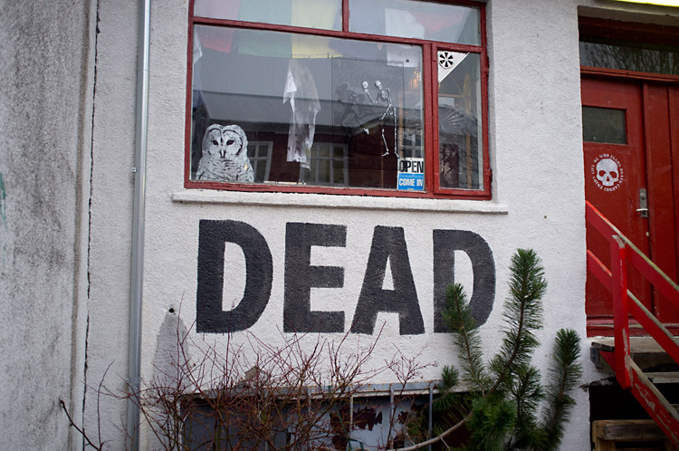 streetart_reykjavik_DSF1314