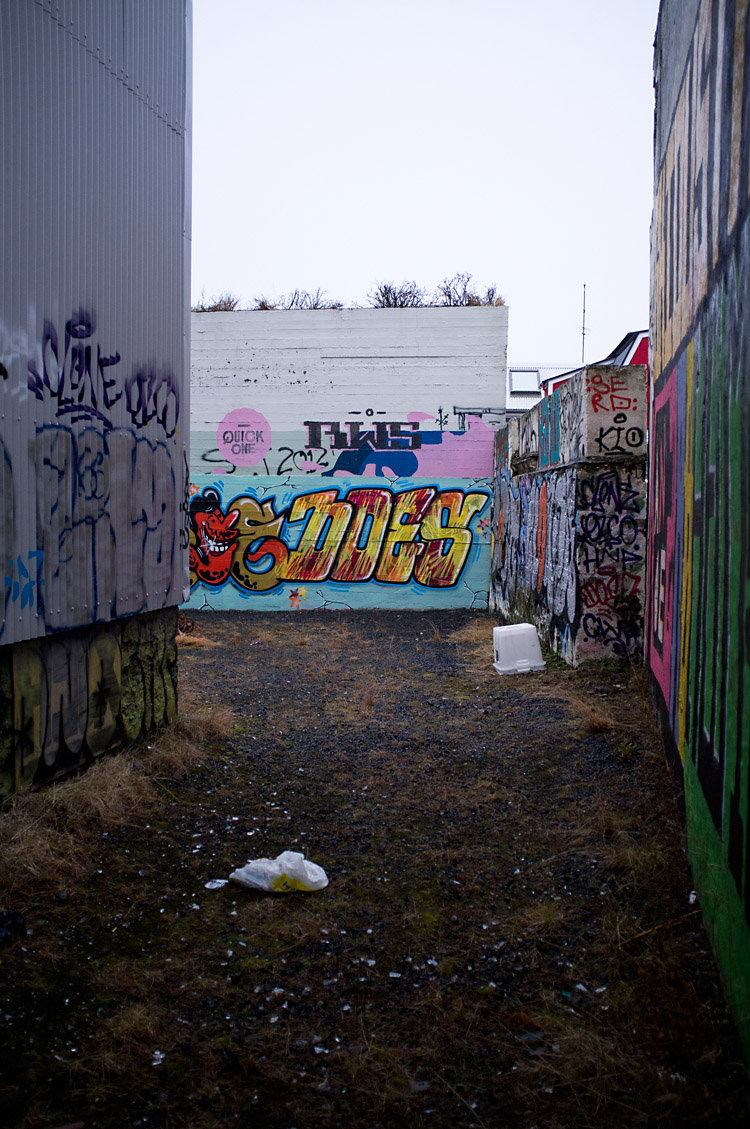 streetart_reykjavik_DSF1318