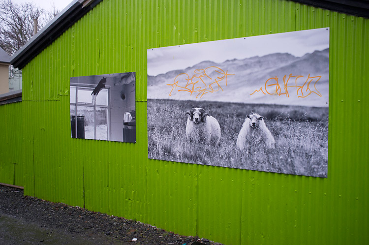 streetart_reykjavik_DSF1360