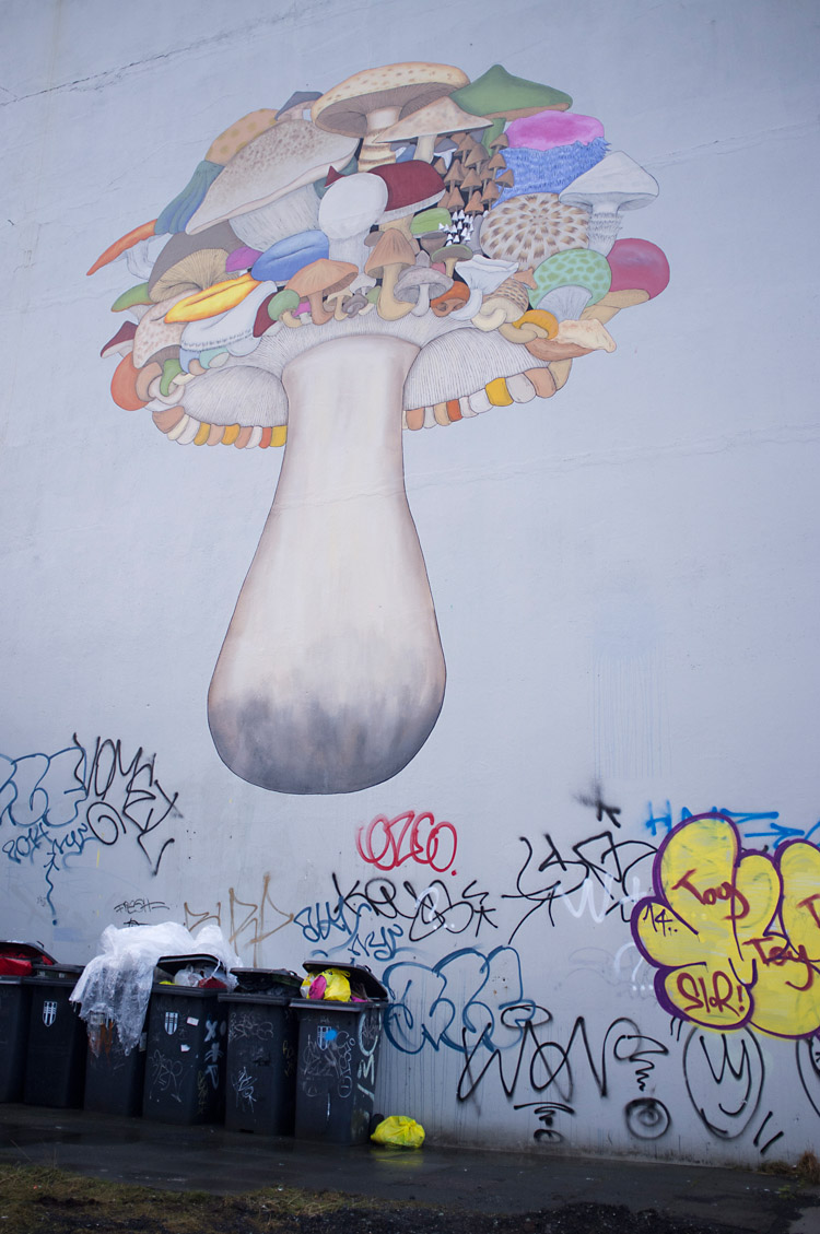 streetart_reykjavik_DSF1585