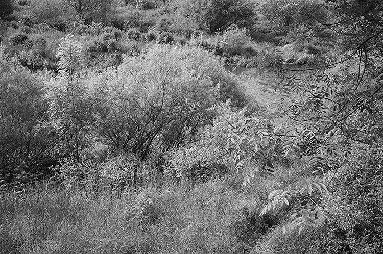 ruhrtalradweg_DSF2152