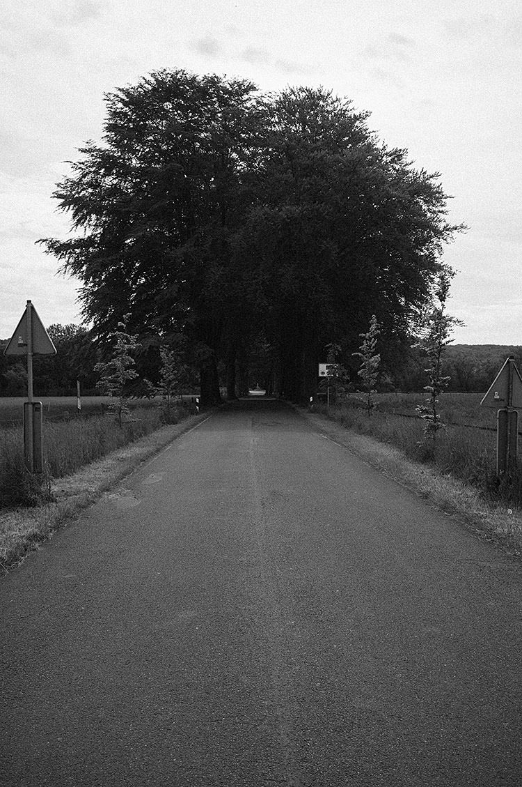 ruhrtalradweg_DSF2154