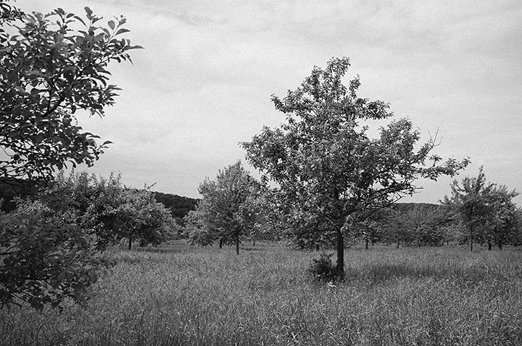 ruhrtalradweg_DSF2193