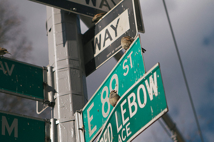 nyc_day1_MG_5315