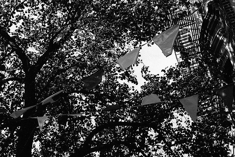 nyc_day4_5773